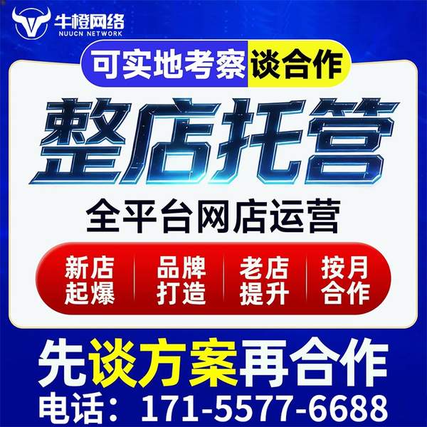 兴义电商代运营
