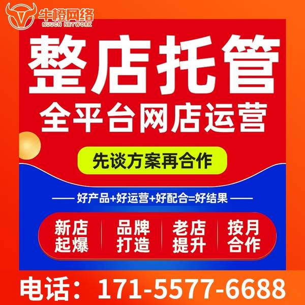 兴义电商代运营
