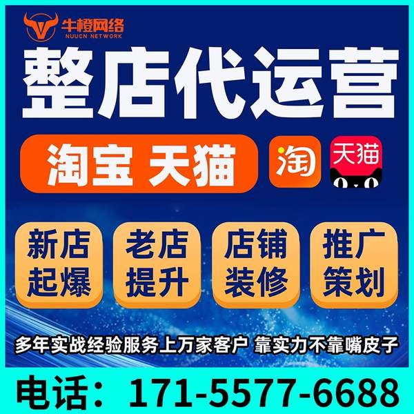 兴义电商代运营