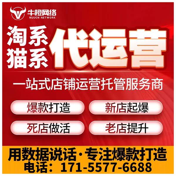 兴义电商代运营